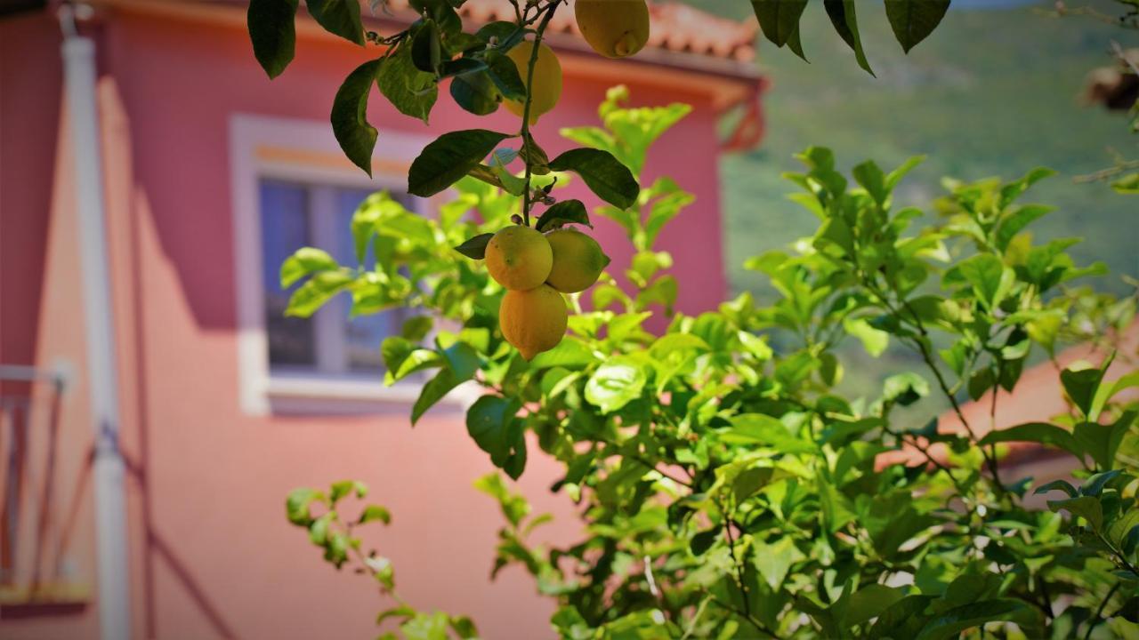 Hotel Tourist Parga Luaran gambar